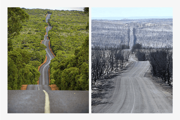 consecuencia cambio climático