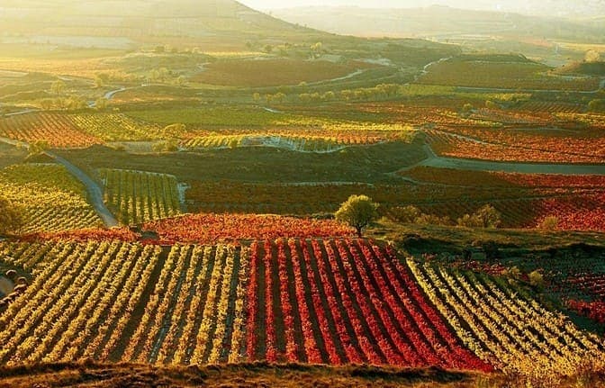Haro Across Spain.jpg