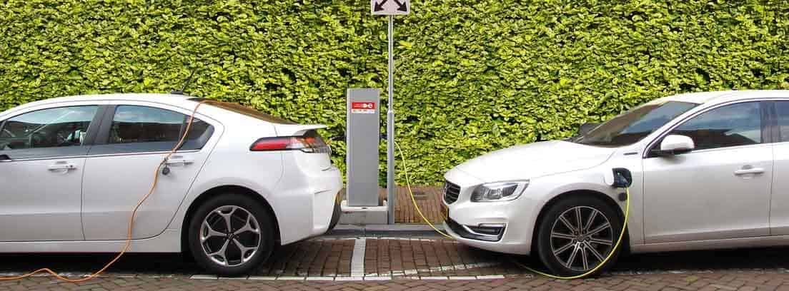 coches eléctricos aparcados zona verde